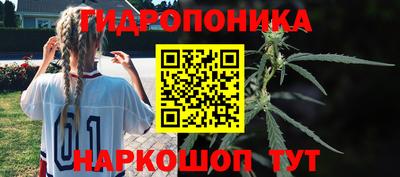 МДПВ Тула