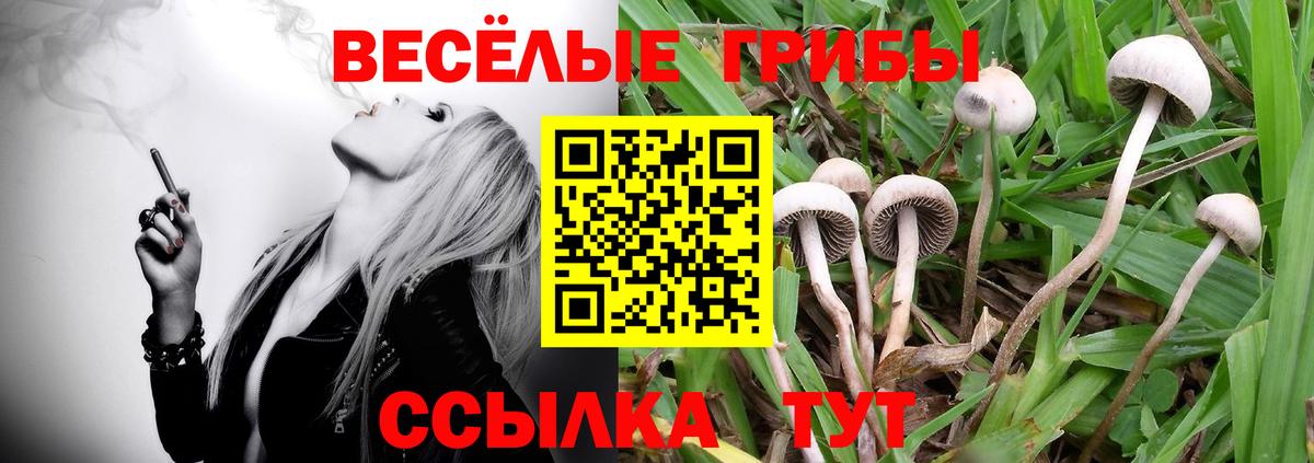 Семилуки  Псилоцибиновые грибы GOLDEN TEACHER  Вход с VPN 